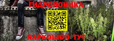 амф Кунгур