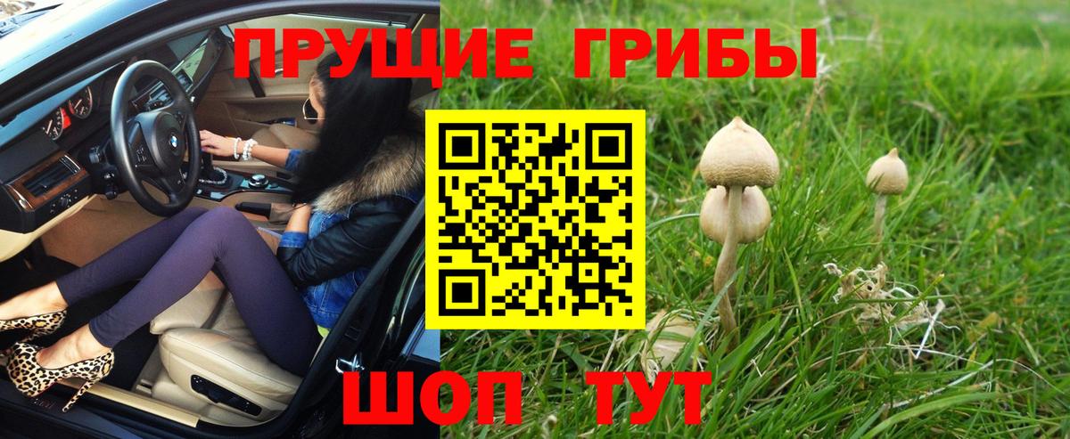 Усолье-Сибирское  Псилоцибиновые грибы мухоморы  Вход с VPN  Псилоцибиновые грибы Psilocybine cubensis 