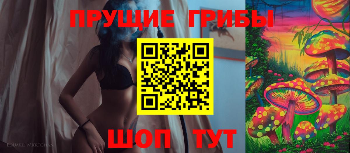 Галлюциногенные грибы Psilocybe Усолье-Сибирское